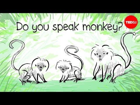 How to speak monkey: The language of cotton-top tamarins - Anne Savage - YouTube