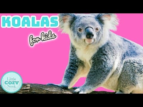 Koalas for Kids | Animal Science for Kids 🐨🌳
