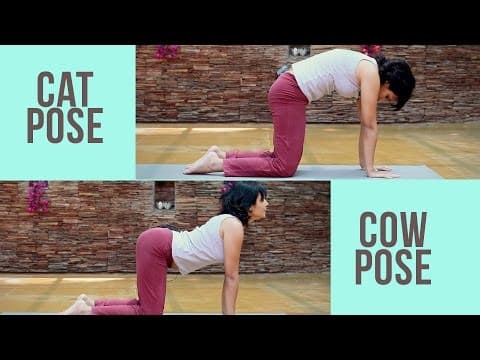 Pregnancy Fitness: Cat Cow Pose for back - Prenatal Yoga: