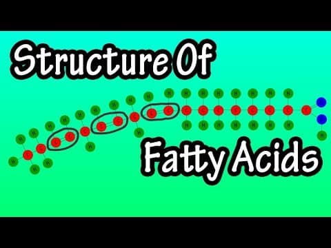 Fatty Acids - What Are Fatty Acids - Structure Of Fatty Acids - Types Of Fatty Acids