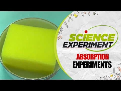 Science Experiment - 50 | Absorption Experiment | Chemistry Experiment