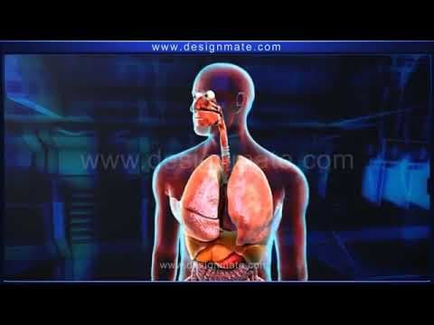 Std 07 science respiratory system