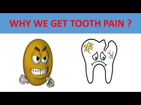 Tooth problems - why we get tooth pain - how to prevent tooth pain - science educational