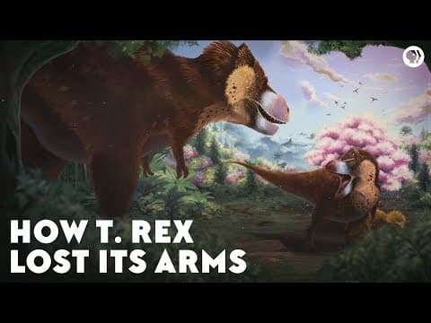 How the T-Rex Lost Its Arms - YouTube
