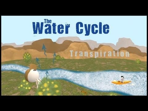 The Water Cycle - Untamed Science