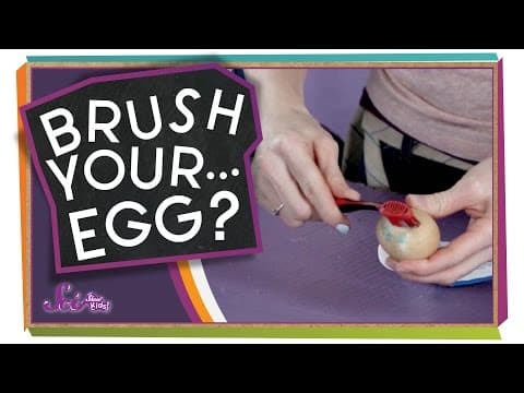 Remember to Brush Your...Egg?