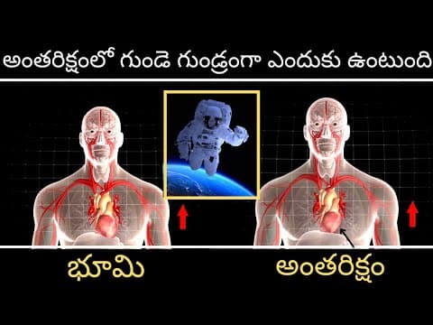 why space travel makes human heart more spherical in Telugu