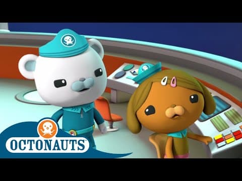 Protect The Habitats