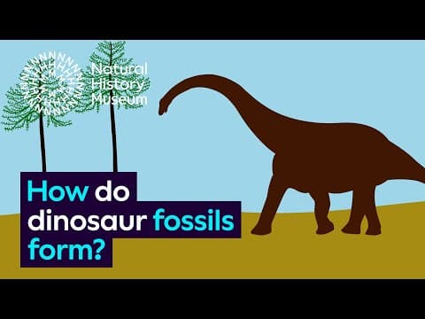 How do dinosaur fossils form?