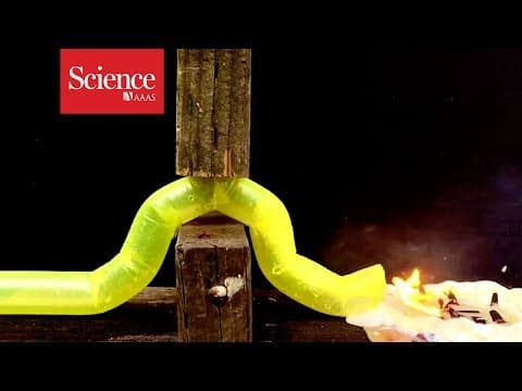 A tubular, shape-shifting robot