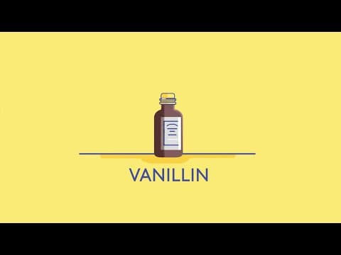 The Journey of Vanilla – From Plant to Extract