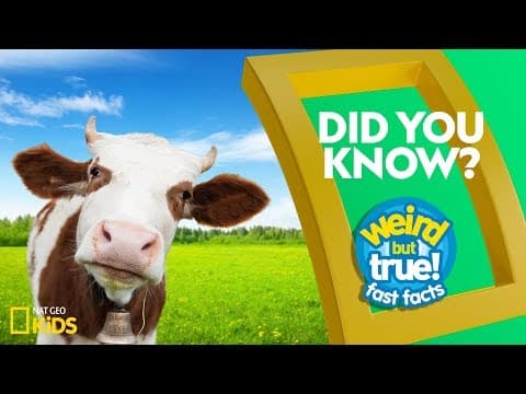 Did You Know? | Weird But True!โFast Facts - YouTube