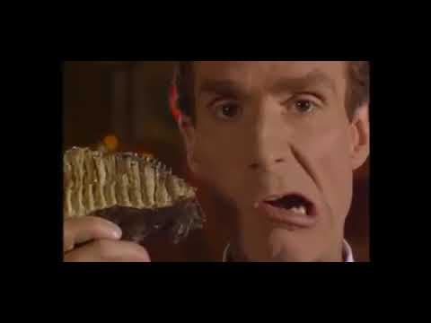 Bill Nye the Science Guy S04E19 Fossils