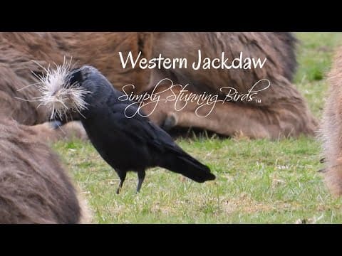 Jartopia creates a lake ecosphere in a sealed jar