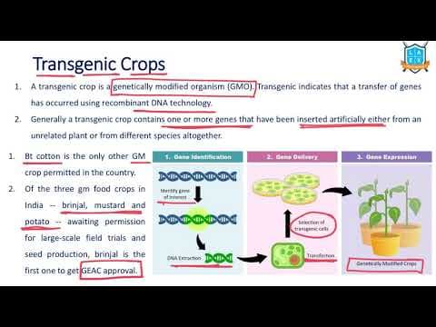What is Transgenic Crop/ GM Crop ? || GM Crop అంటే ఏమిటి?