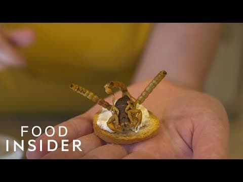 Why Americans Donโt Eat Bugs