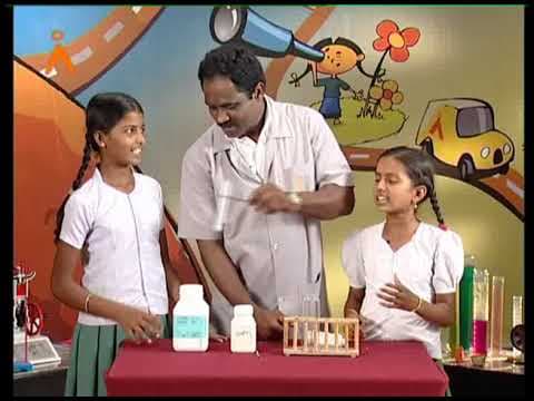Endothermic Reactions (TELUGU)