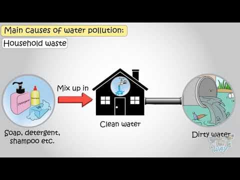 Causes of Water Pollution | Science