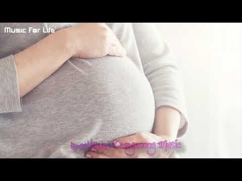 Pregnancy Music Mozart | Brain Development for Unborn Baby.