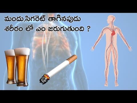 What Happens When We Smoke And Drink In Telugu