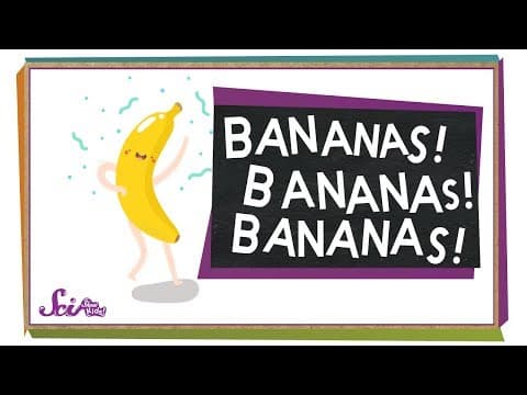 Where Do Bananas Come From? | Botany for Kids