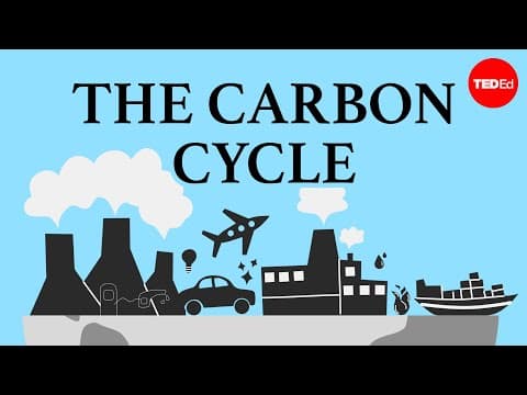 The carbon cycle - Nathaniel Manning - YouTube