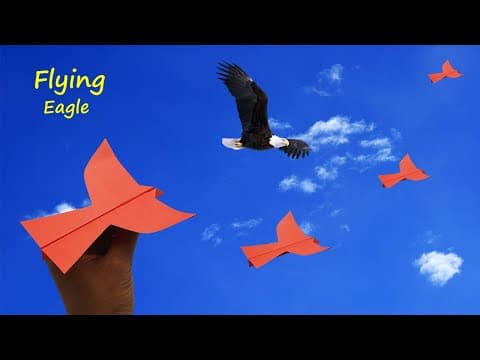 Eagle Paper Airplane - How to Make a Long & Stable Flying "Eagle" Paper Airplane