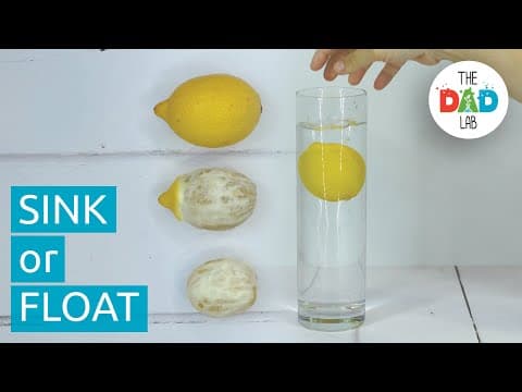 Exploring Density with Lemon | Sink or Float