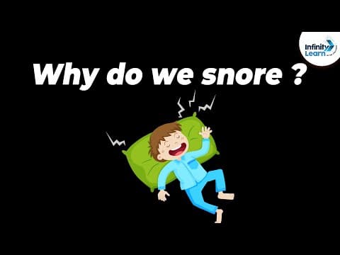 Why do we snore?