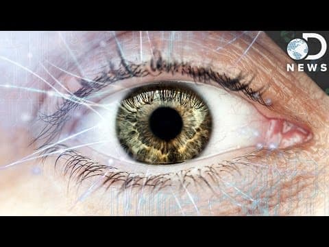 How The Human Eye Evolved To Be So Complex