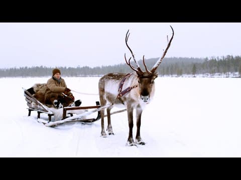 First Sleigh Ride in Finland