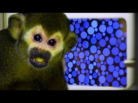 How Colours Are Connected With Our Emotions | Earth Science