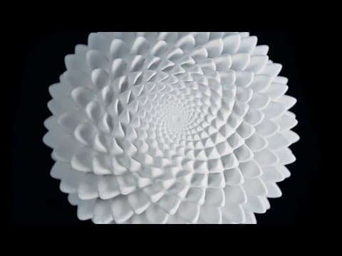 Never-Ending Blooms: John Edmark’s spiral geometries