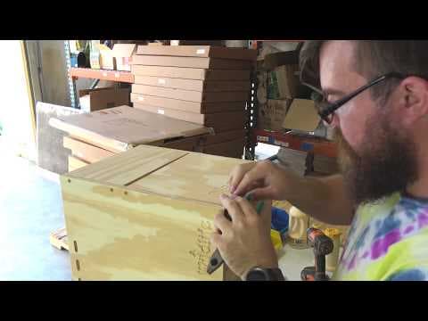 An injured bald eagle learns how to fly again