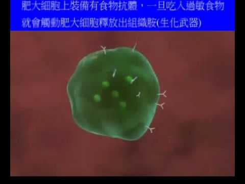 Allergy 3D Medical Animation
