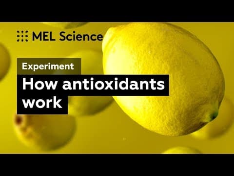 Why Vitamin C is useful Ascorbic acid a strong antioxidant experiment