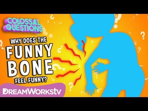 What's So Funny About The Funny Bone? | COLOSSAL QUESTIONS