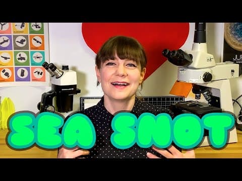 Baby orangutan Peanut doesnot want to climb the ropes