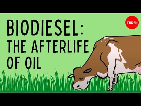 Biodiesel: The afterlife of oil - Natascia Radice