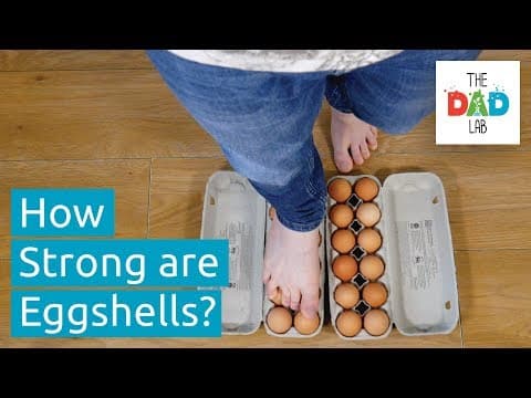 Walking on Eggs | Kids Science Experiment