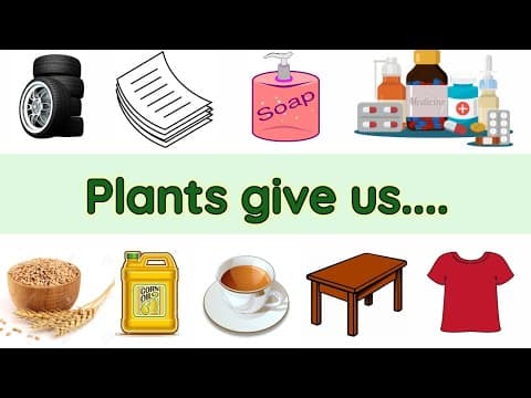 Uses of plants | Uses of plants for kids | Plants and their uses | Plant give us | uses of trees