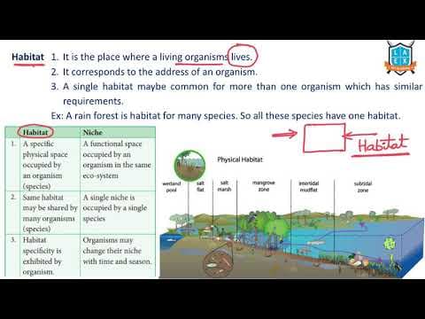 What is Habitat ? || Habitat అంటే ఏమిటి?