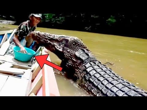 Crocodile Asks Fisherman For Help - He Is Shocked To Find Out Why