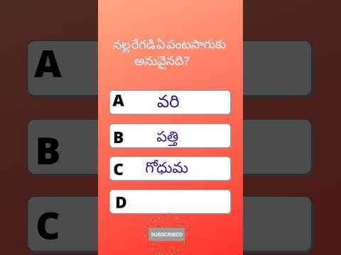 GENERAL STUDIES QUIZ | TELUGU INTERESTING Q&A | TELUGU MCQ