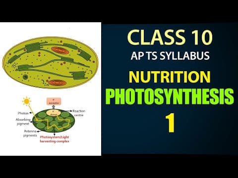 Nutrition |Photosynthesis Explanation in Telugu