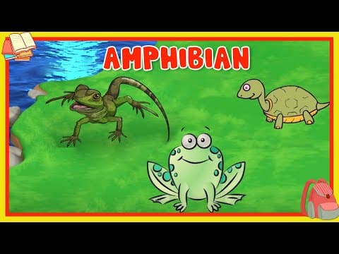 Learn About Amphibian - Preschool Learning For Kids - Educational Video For Children