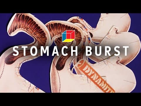 Could You Eat So Much That Your Stomach Explodes?