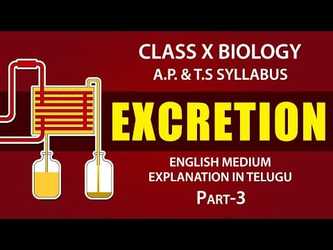 Excretion 3 | Human excretory system Explanation in telugu