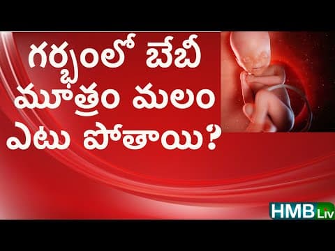 గర్భంలో శిశువు విసర్జించే మలం, మూత్రం ఎటు వెళ్తుంది? - pregnancy & child care channel