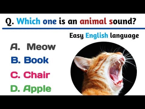 Learn English for Beginners | Basic English MCQ with Answers #english #mcq